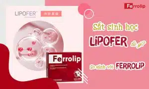 sắt sinh học lipofer