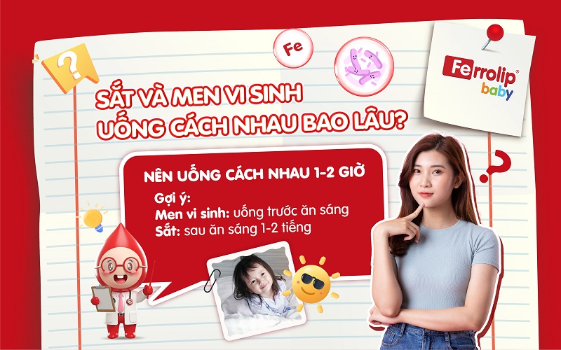 Sắt và men vi sinh uống cách nhau bao lâu?
