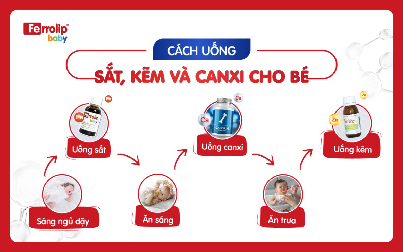 Gợi ý lịch uống sắt, kẽm, canxi cho bé