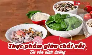 những thực phẩm giàu sắt cho người thiếu máu