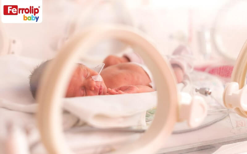 Trẻ sinh non cần được bổ sung sắt ngay từ tháng đầu tiên