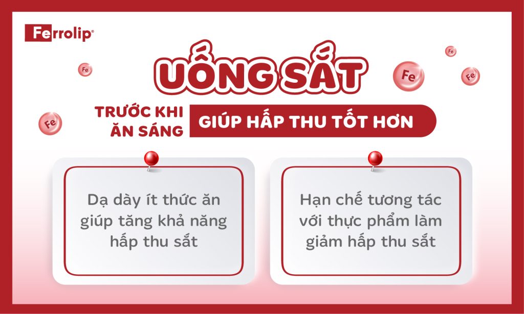 ai-nen-va-khong-nen-uong-sat-truoc-khi-an-sang uống sắt trước ăn sáng giúp hấp thu sắt tốt hơn