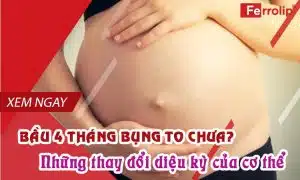 Bầu 4 tháng bụng to chưa