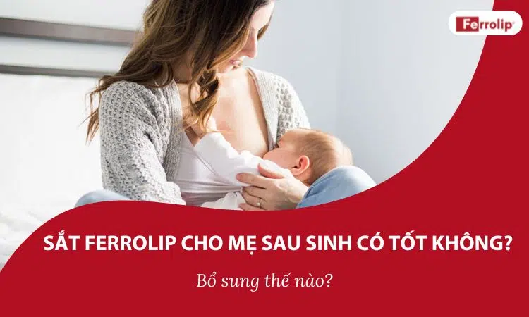 sắt ferrolip cho mẹ sau sinh