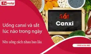 Uống canxi và sắt vào lúc nào trong ngày