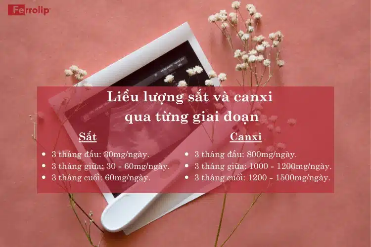 liều lượng sắt và canxi cho bà bầu