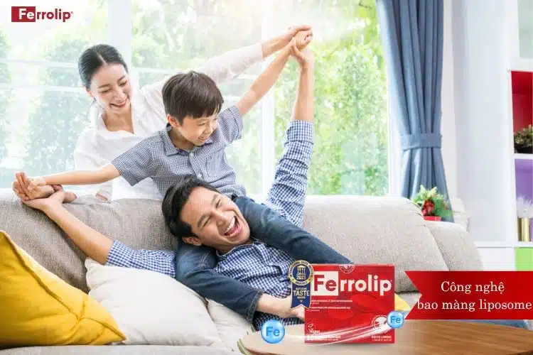 sắt ferrolip cho người thiếu máu