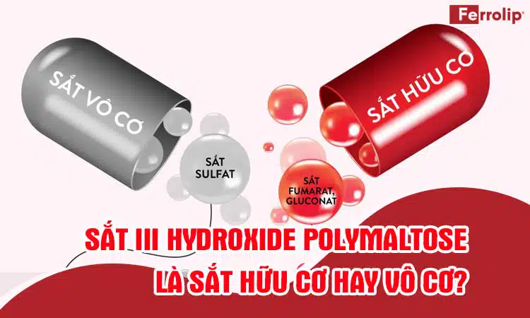 sắt iii hydroxide polymaltose là sắt hữu cơ hay vô cơ