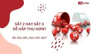 sắt 2 hay sắt 3 dễ hấp thu hơn