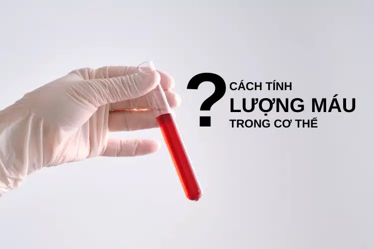 cách tính lượng máu trong cơ thể chuẩn nhât