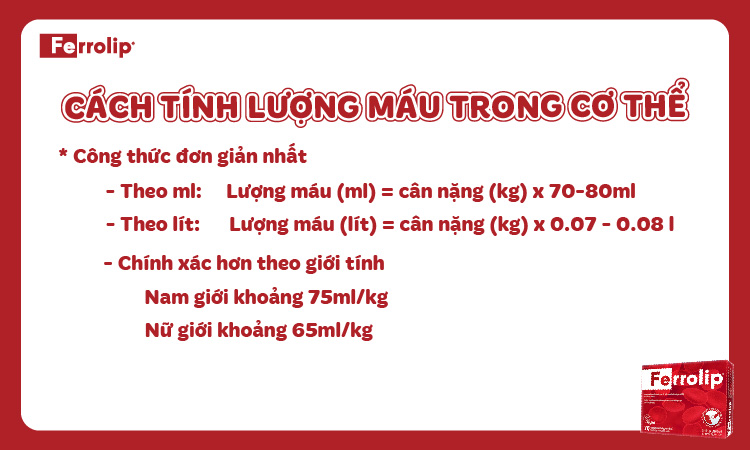 Công thức đơn giản tính lượng máu trong cơ thể