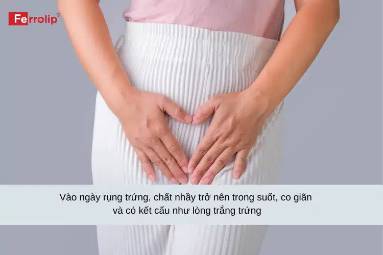 hết kinh bao nhiêu ngày thì dễ thụ thai