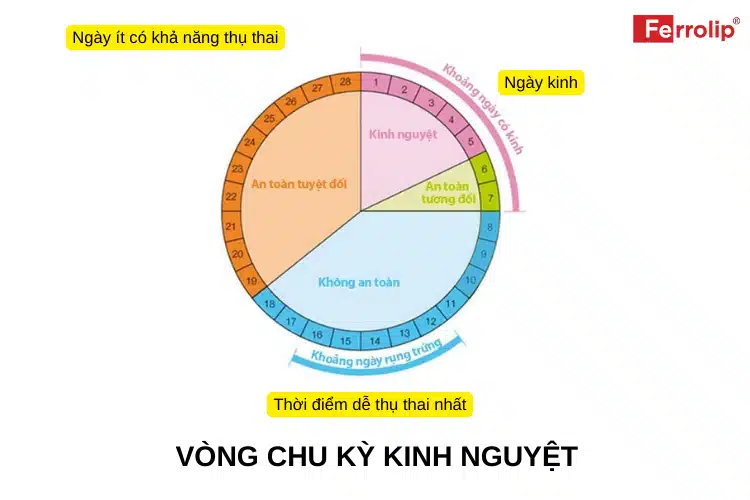 Bảng tính sinh con gái năm 2024