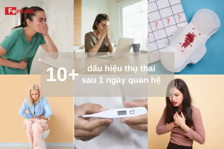 Dấu hiệu thụ thai sau 1 ngày quan hệ sớm nhất