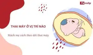 thai máy ở vị trí nào