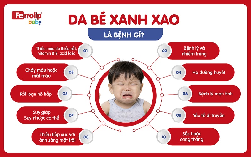 Da bé xanh xao là bệnh gì?