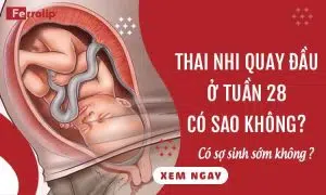 thai nhi quay đầu ở tuần 28 có sao không