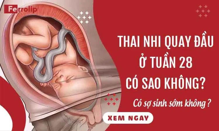 thai nhi quay đầu ở tuần 28 có sao không