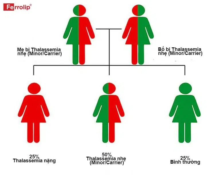 thalassemia có di truyền từ bố mẹ sang con cái