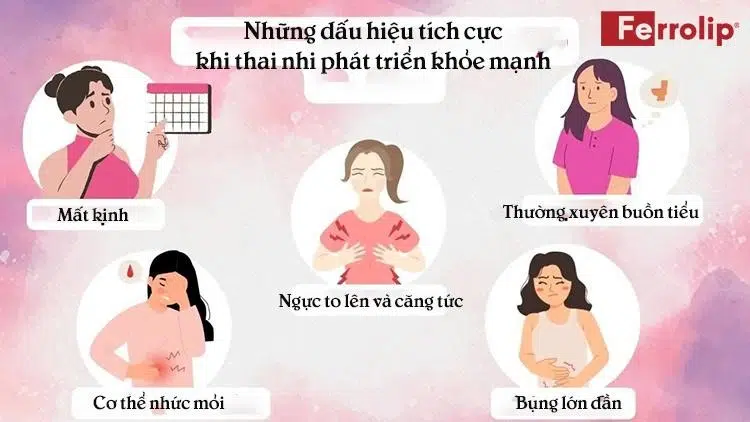 Những dấu hiệu cho thấy thai nhi phát triển khỏe mạnh