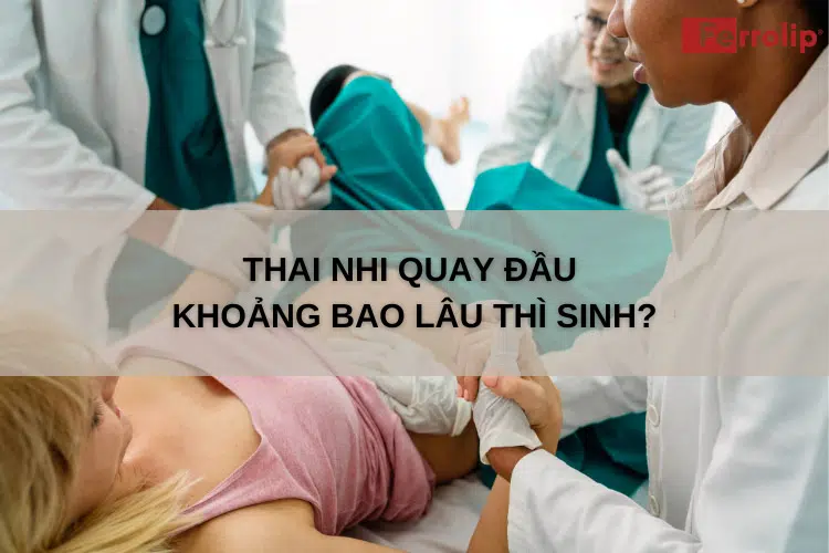 Thai nhi quay đầu khoảng bao lâu thì sinh?