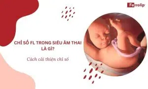 chỉ số fl trong siêu âm thai là gì