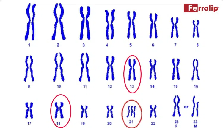 xét nghiệm nipt bao lâu có kết quả