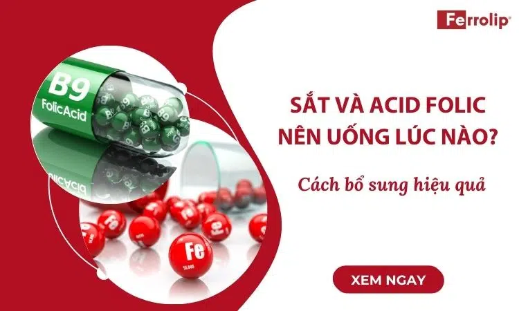 Sắt và acid folic nên uống lúc nào