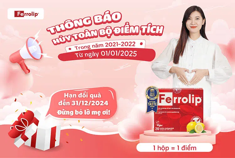 ferrolip-thong-bao-huy-diem-tich