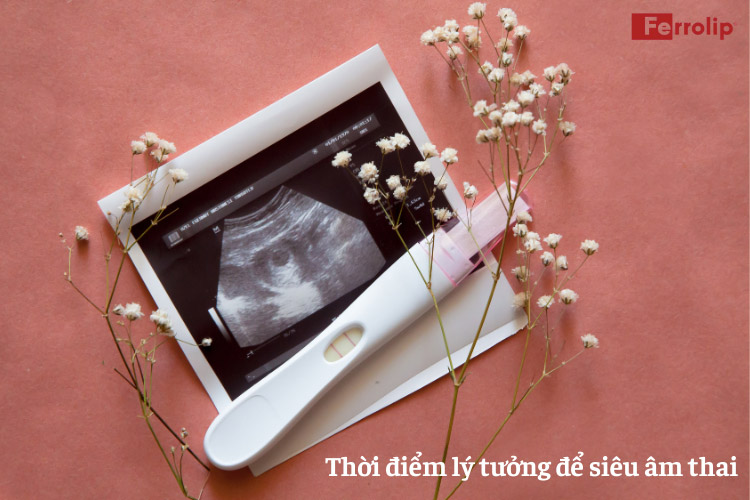 chậm nhất bao nhiêu tuần thì có tim thai