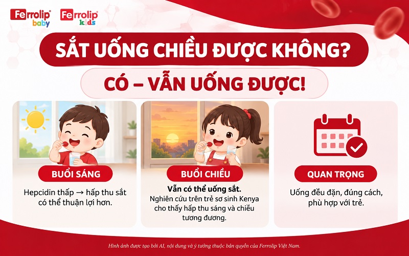 Sắt uống chiều được không? Câu trả lời là “Có”