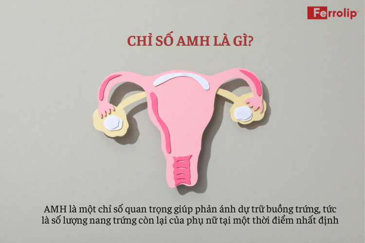 amh thấp có rụng trứng không