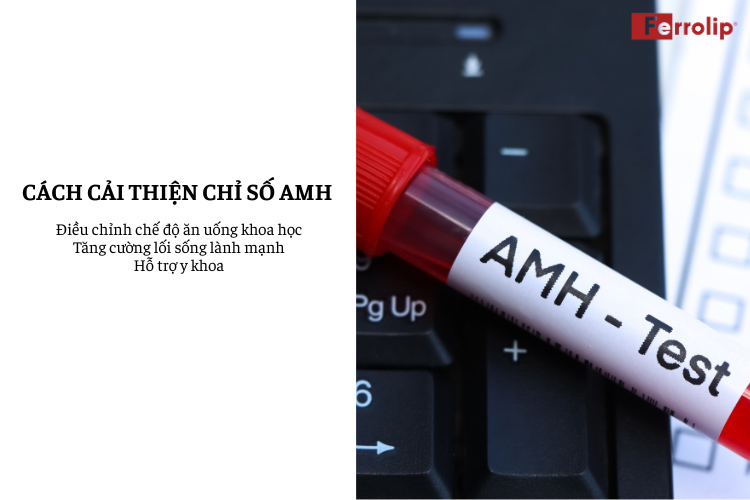 amh thấp có rụng trứng không
