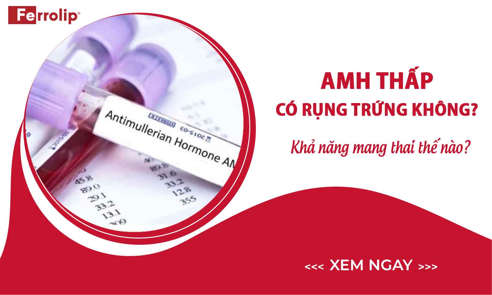 amh thấp có rụng trứng không