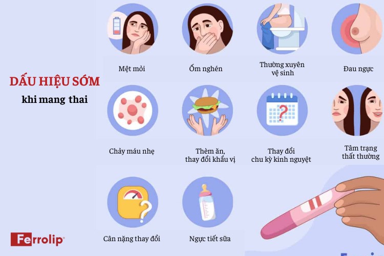 những dấu hiệu mang thai