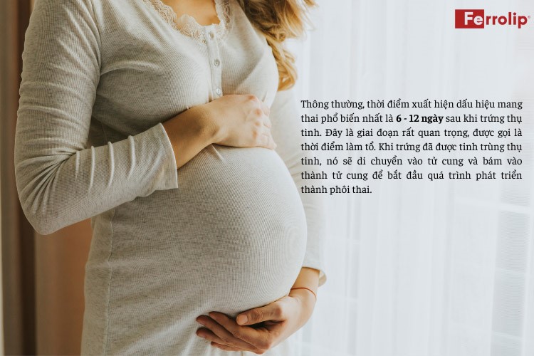 thời điểm xuất hiện dấu hiệu mang thai