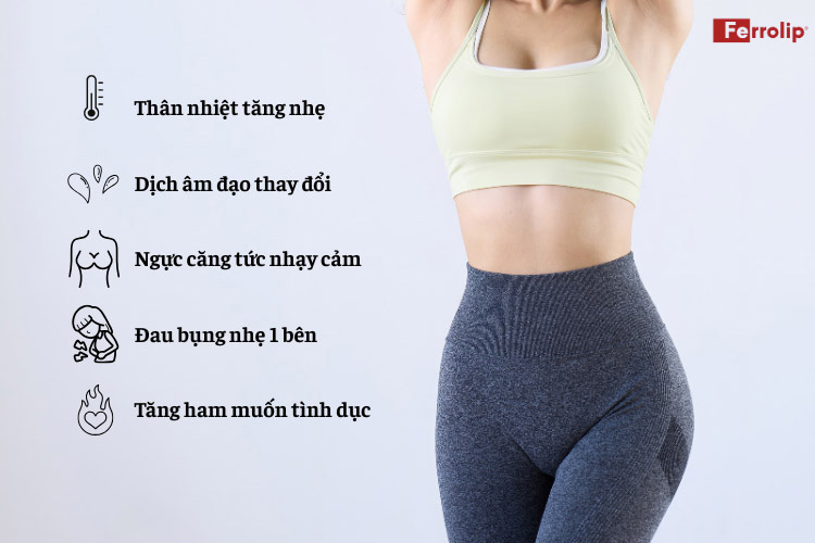 Các dấu hiệu rụng trứng