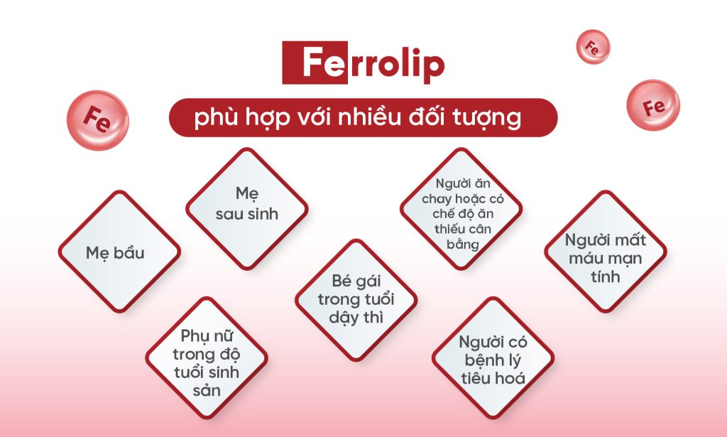Sắt ferrolip phù hợp cho nhiều đối tượng