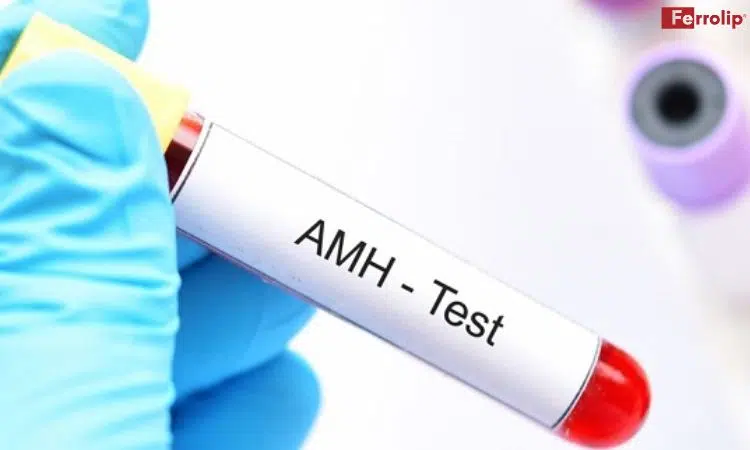 AMH bao nhiêu là PCOS