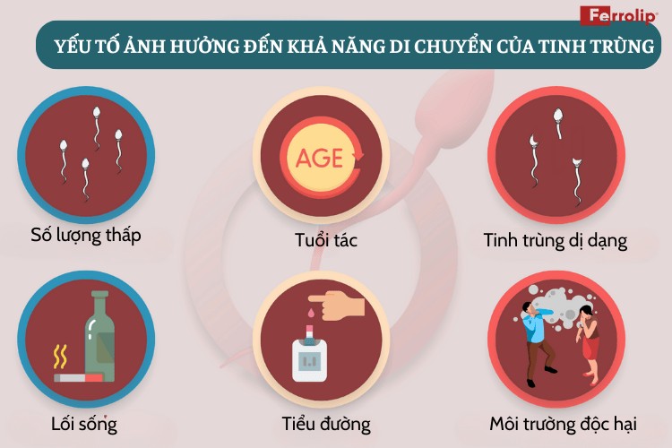 dấu hiệu nhận biết tinh trùng vào tử cung