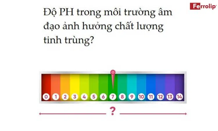 yếu tố ảnh hưởng đến chất lượng tinh trùng