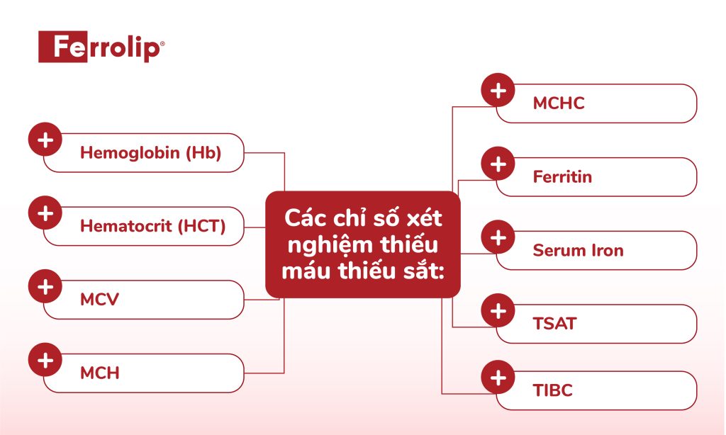 Các chỉ số xét nghiệm thiếu máu thiếu sắt