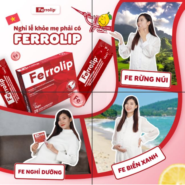 bầu chill Ferrolip