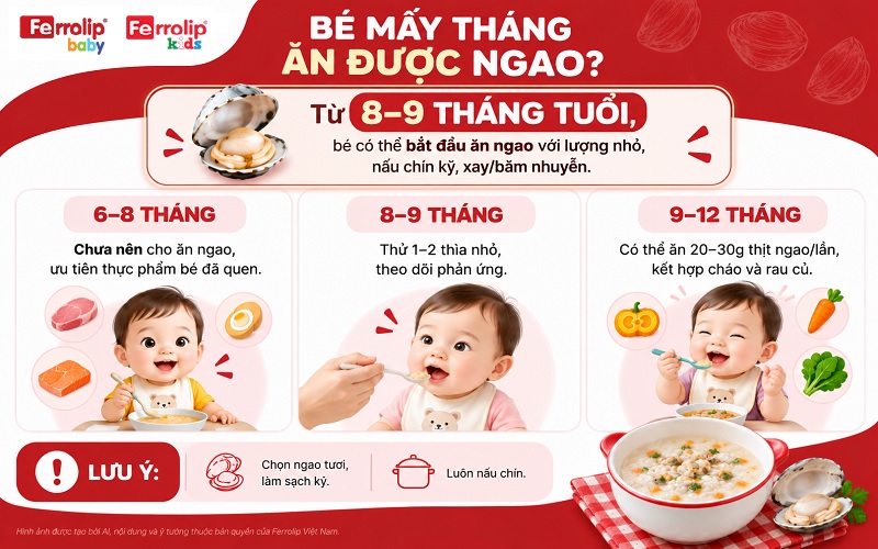 Bé từ 8–9 tháng tuổi có thể bắt đầu ăn ngao