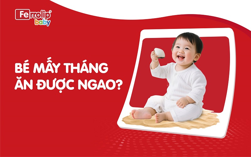 Bé mấy tháng ăn được ngao?