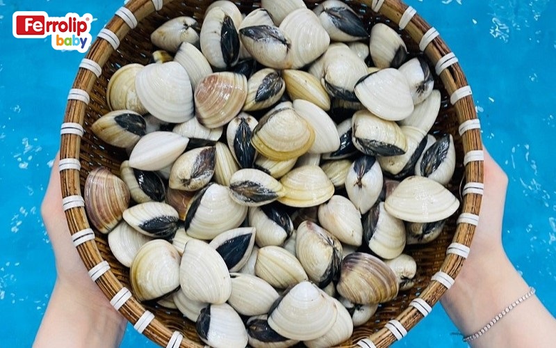 Ngao sống ở môi trường nước mặn hoặc lợ, dễ tích tụ cát, kim loại nặng hoặc vi khuẩn nếu không được làm sạch kỹ