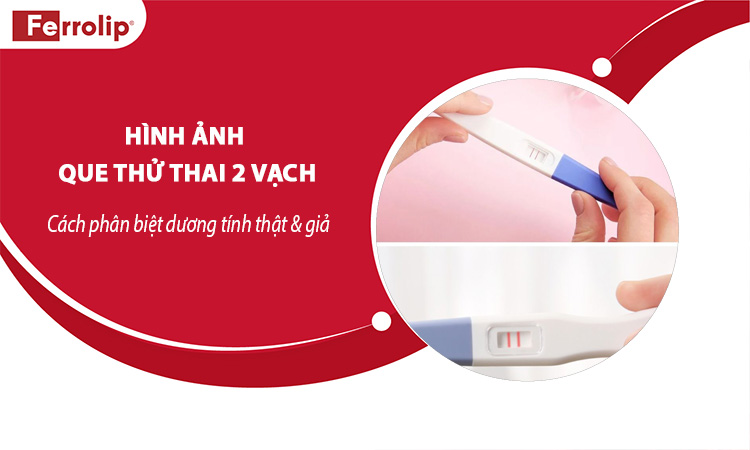 hình ảnh que thử thai 2 vạch