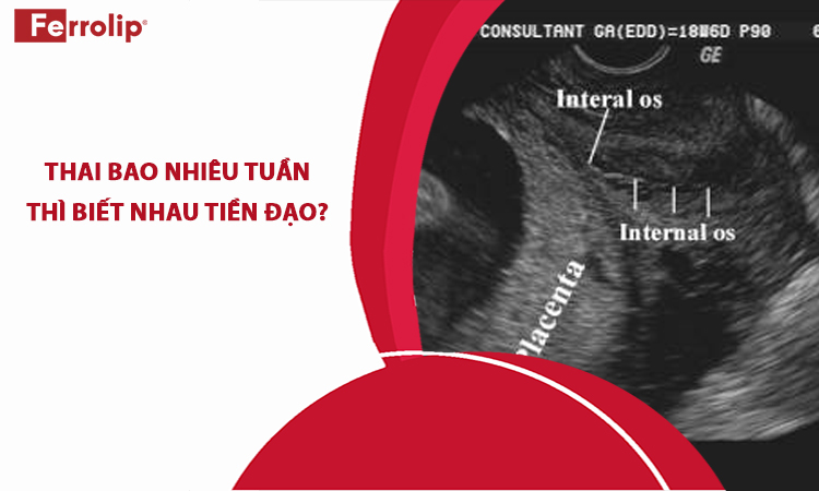 thai bao nhiêu tuần thì biết rau tiền đạo