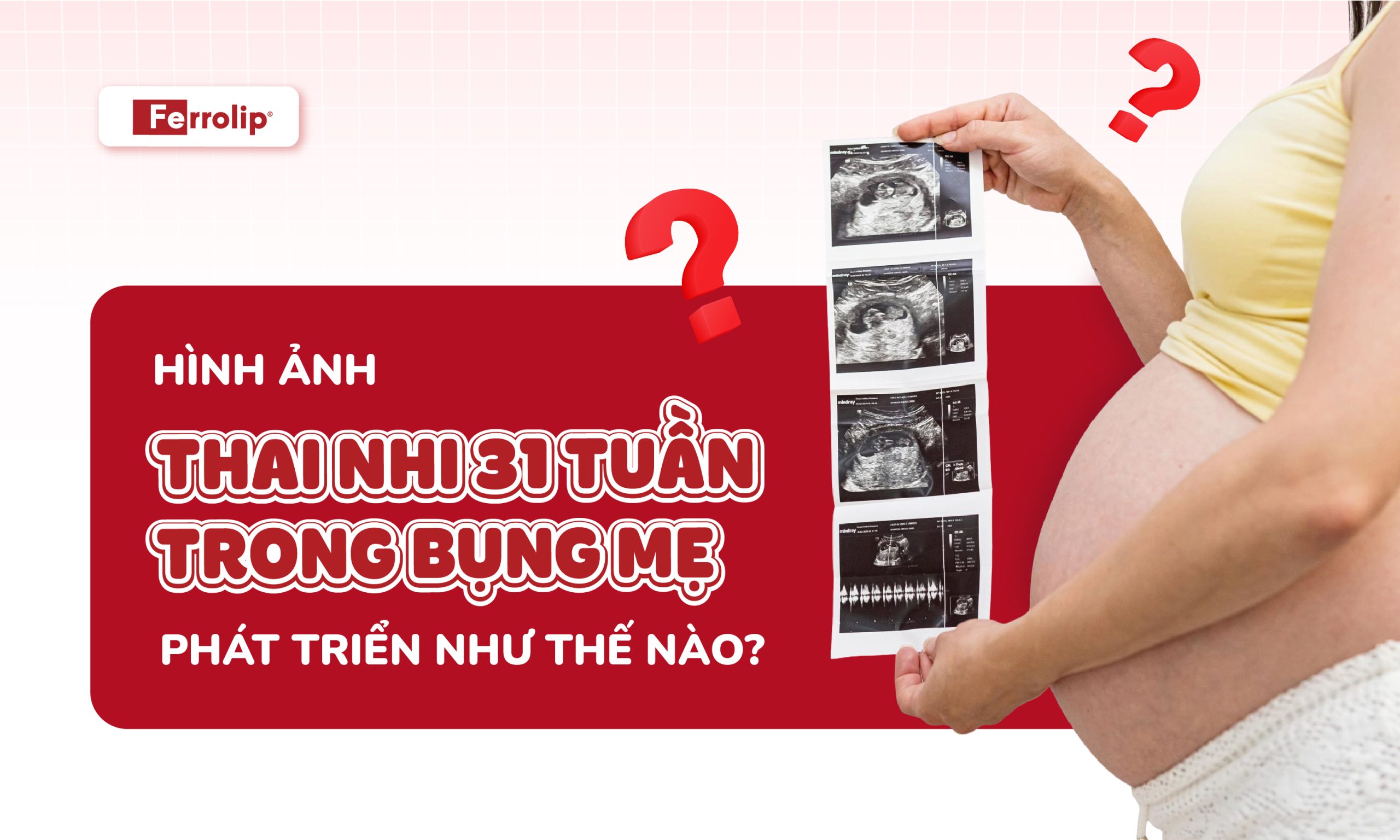 Hình ảnh thai nhi phát triển tuần 31 trong bụng mẹ