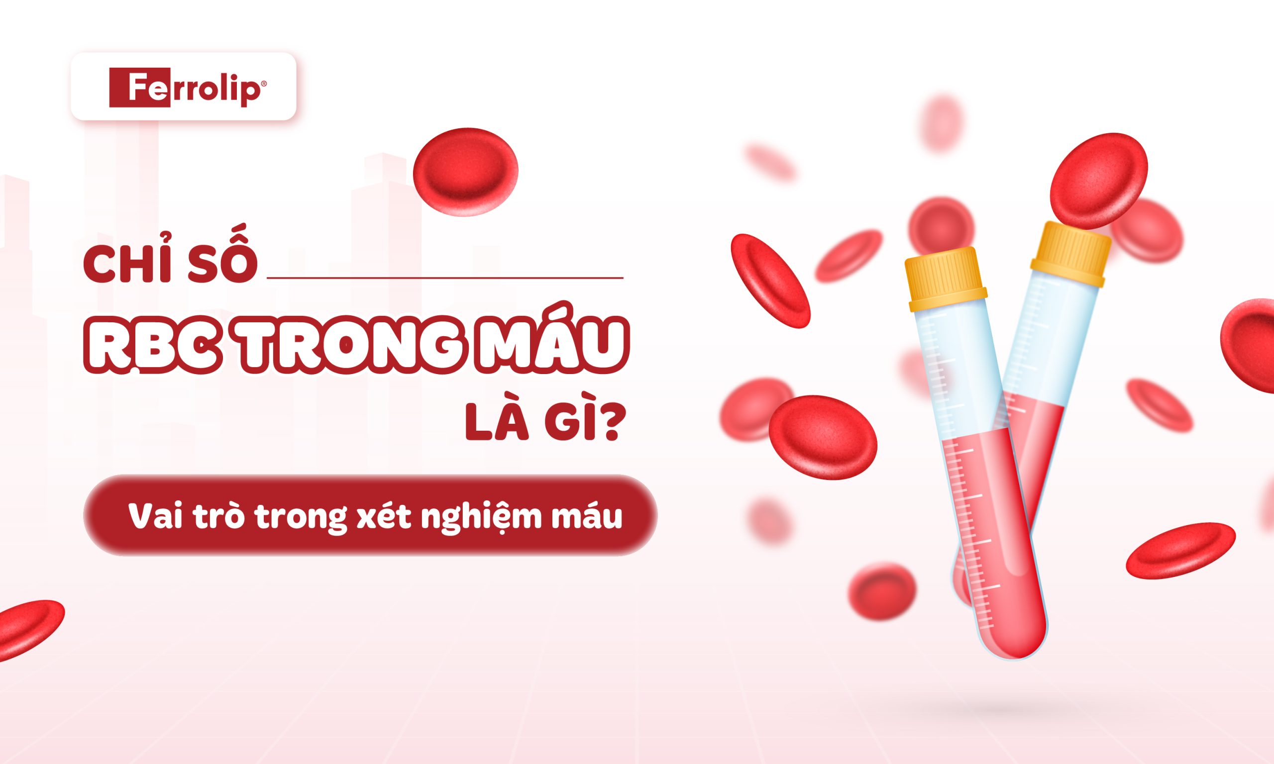 Chỉ số rbc trong máu là gì?